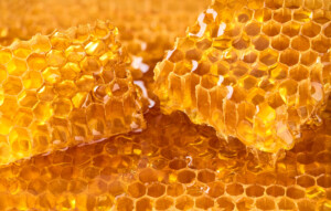 Close-up of honeycomb dripping with golden honey